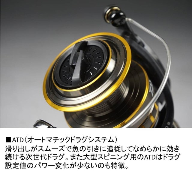 ダイワ（Ｄａｉｗａ） １６ＢＧ ４５００ スピニングリール: 釣具の