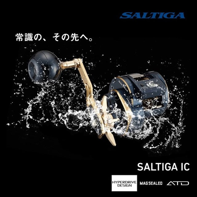 ダイワ DAIWA 21 ソルティガIC 300HL-SJ 左巻: 釣具のキャスティング