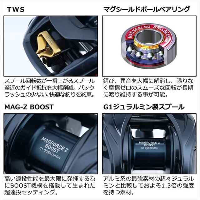 ダイワ スティーズA TW HLC 8.1R (右) 2021追加モデル: 釣具の