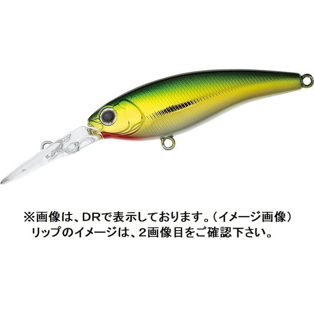 ダイワ スティーズシャッド 60sp Sr S サイレント グリーンゴールド 釣具のキャスティング Jre Mall店 Jre Mall