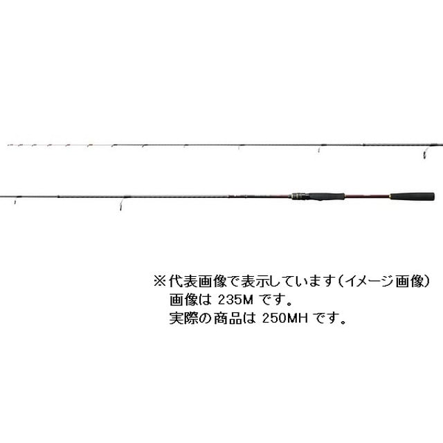 シマノ ２０炎月ＢＢ 一つテンヤマダイ ２５０ＭＨ（スピニング