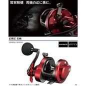 ダイワ（Ｄａｉｗａ） 幻覇王 石鯛 ３０: 釣具のキャスティング JRE