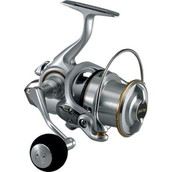 ダイワ（Ｄａｉｗａ） サーフ ベーシア ２５ ２５ＱＤ ５号用