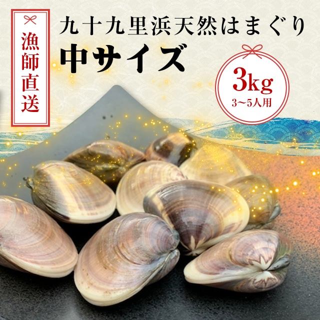 茨城県産 天然ハマグリ 3キロ - 食品