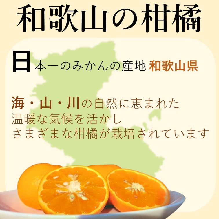 予約販売】和歌山有田産 不知火(しらぬい） 【送料無料】【産地直送