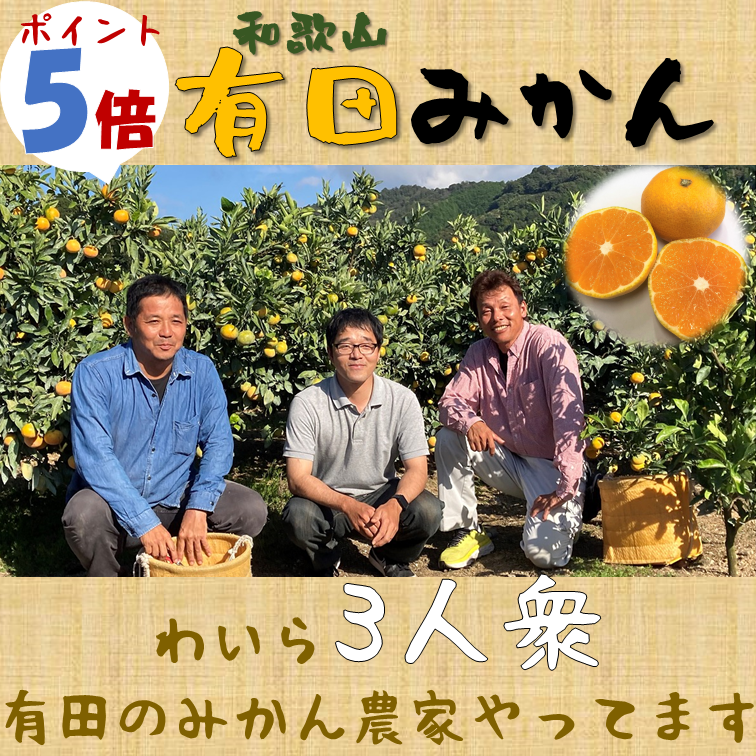 予約販売】「3人衆みかん1箱5kg（サイズおまかせ）」【和歌山県有田郡