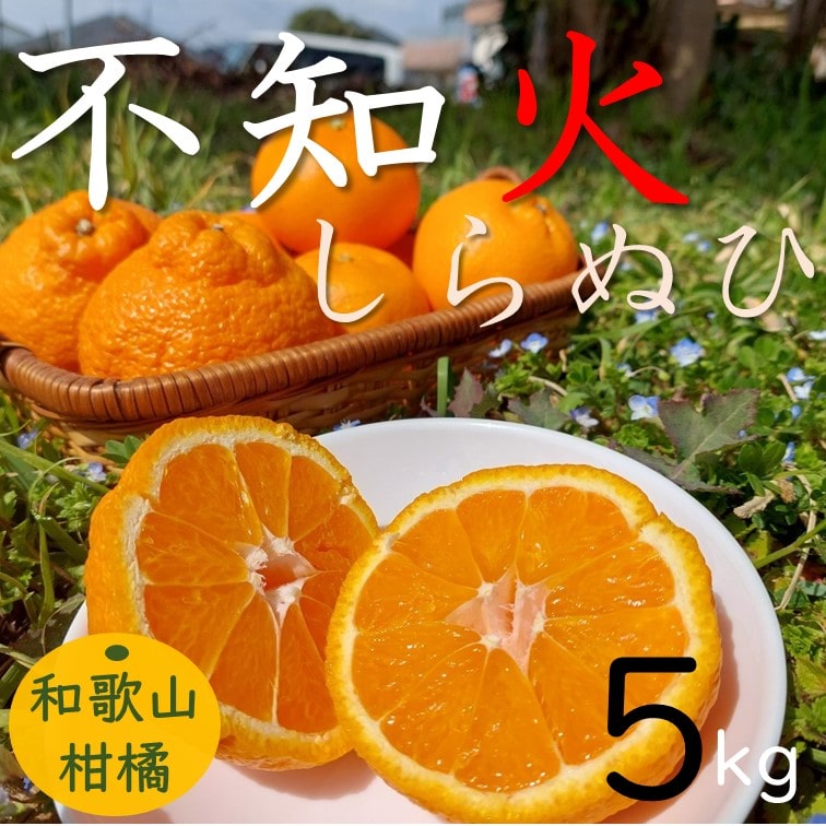 4月上旬頃まで！】和歌山有田産 不知火(しらぬい） 【送料無料】【産地