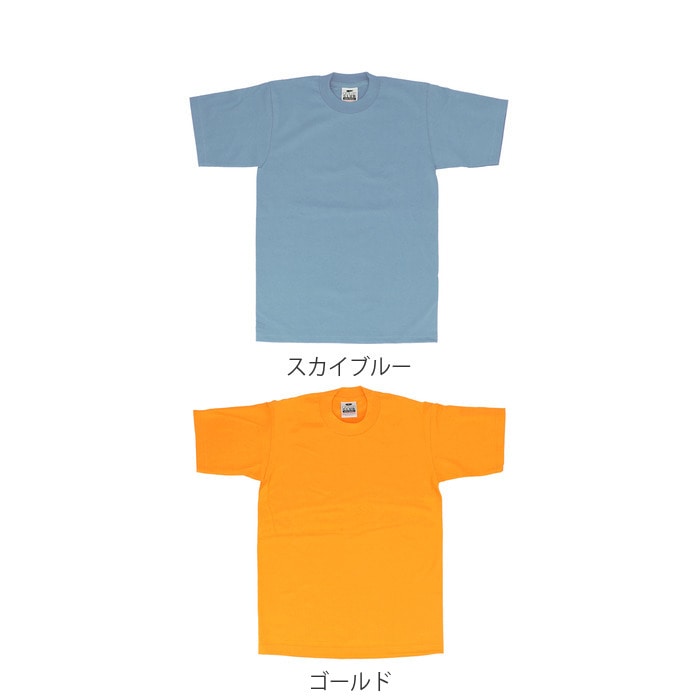 Tシャツ メンズ 半袖 通販 アメカジ おしゃれ ティシャツ ブランド プロクラブ 厚手 半袖 シャツ 無地 トップス ストリート Vネック シンプル 肌着 インナー グレー ビッグサイズ Sサイズ 小さめ 大きめ Xl 大きいサイズ サイズs ホワイト Backyard Family Jre Point