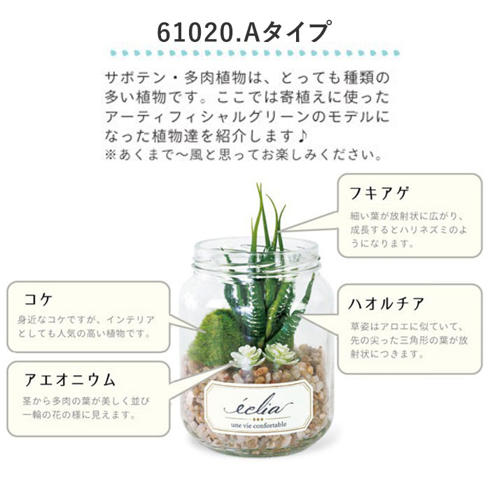 観葉植物 フェイクグリーン 通販 おしゃれ 小さい CT触媒 消臭アーティフィシャルグリーン ECLIA エクリア インテリアグリーン ラウンドポット  キャニスター インテリア 人工植物 枯れない コンパクト 卓上 デスク 机 玄関 靴箱 ガーデン 造花(61020.Aタイプ): BACKYARD  ...