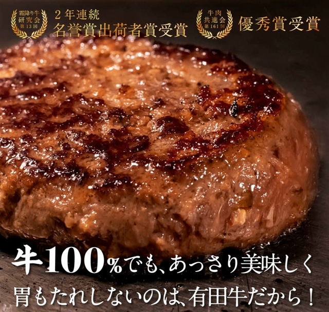 お取り寄せグルメ 送料無料 宮崎県有田牛ハンバーグ （150g×5個） （北海道・沖縄は別途送料594円が掛かります）  マツコの知らない世界で紹介されました！ 【他商品との同梱不可】: ご当地グルメ やきそば王国｜JRE MALL