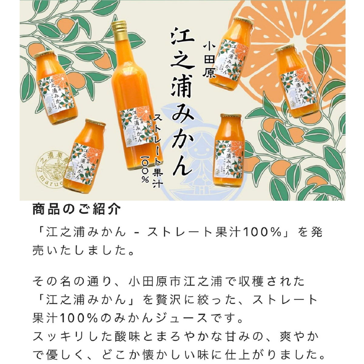 送料無料 江之浦みかん 100％ストレート果汁 ギフトセット 〔500ml×3