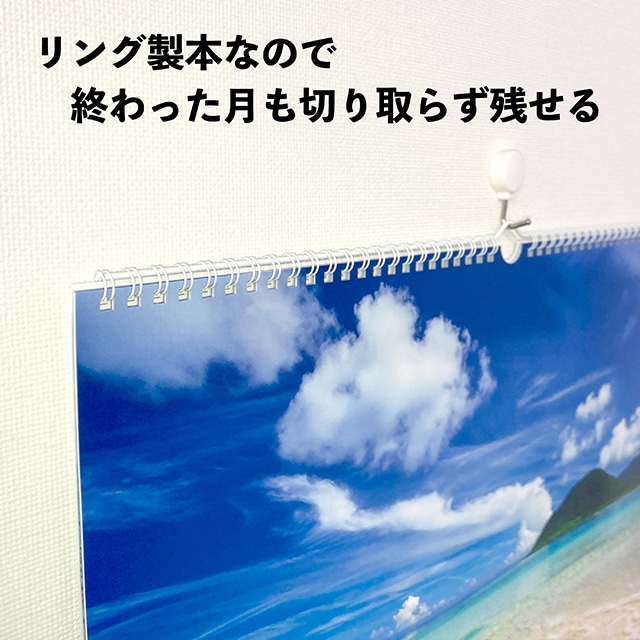 壁掛けカレンダー 癒しの楽園～三好和義作品集～ TD-30653［2024年版