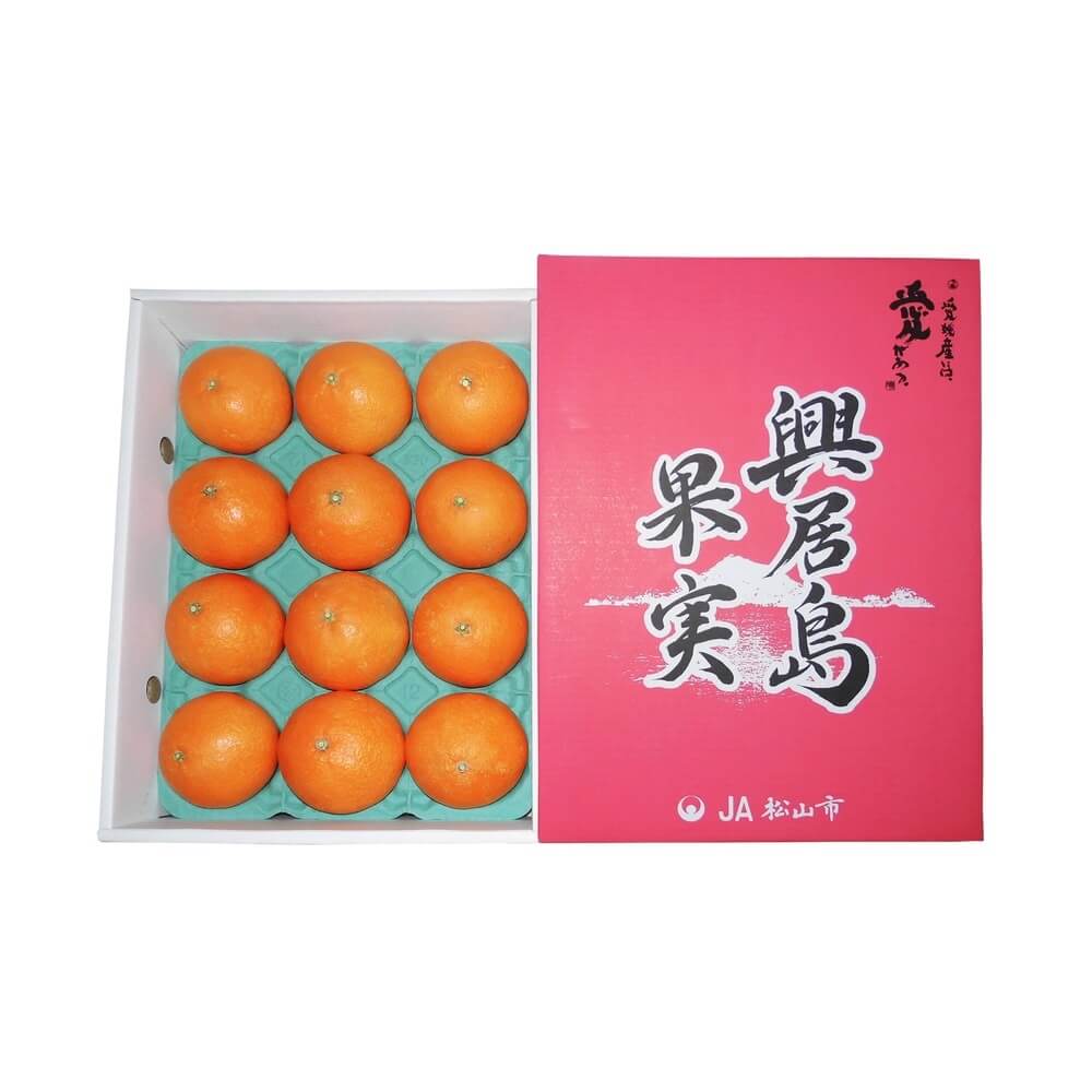 送料無料 まるでゼリー 愛媛県産 『紅まどんな』 約3kg 2L～Lサイズ 12