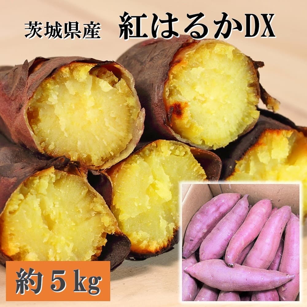 お歳暮 ギフト 2023 茨城県産 紅はるかDX 約18～22本 計約5kg 紅芋