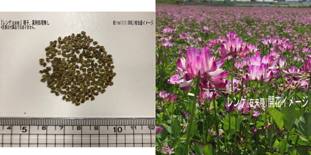 福花園 レンゲ 緑肥 防草 福花園種苗 レンゲ種子お徳用 1l うさマート Jre Mall