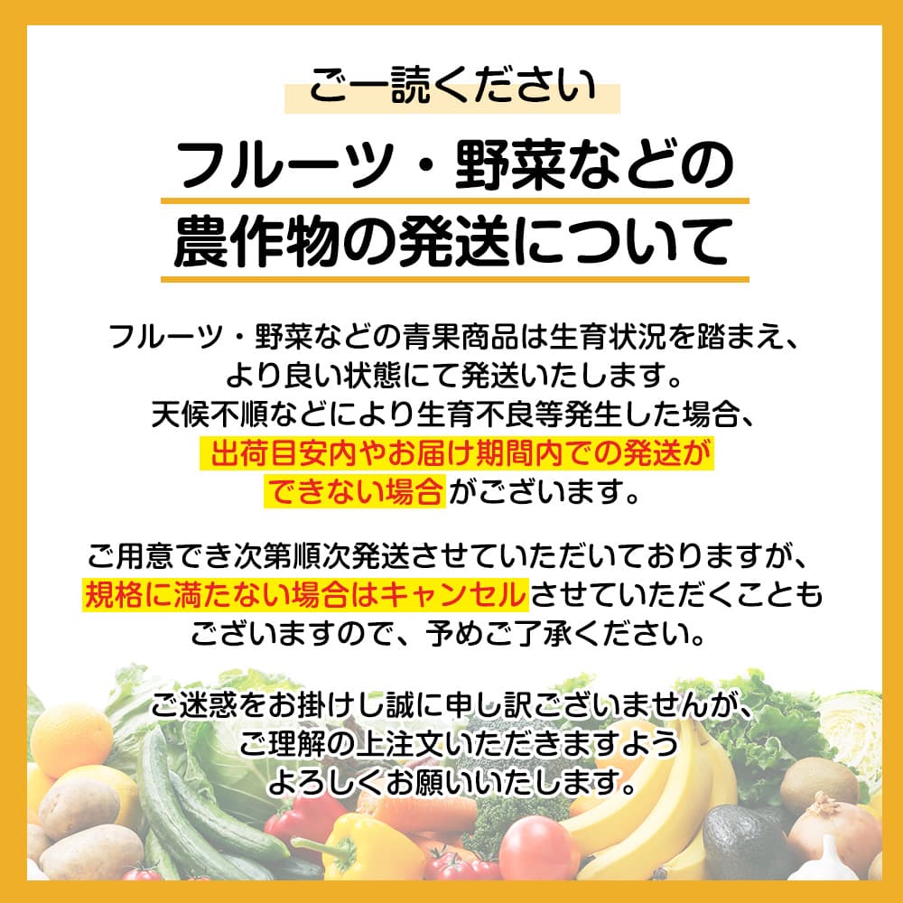 送料無料 RED APPLE 葉とらずジョナゴールド 家庭用 10kg りんご 果物