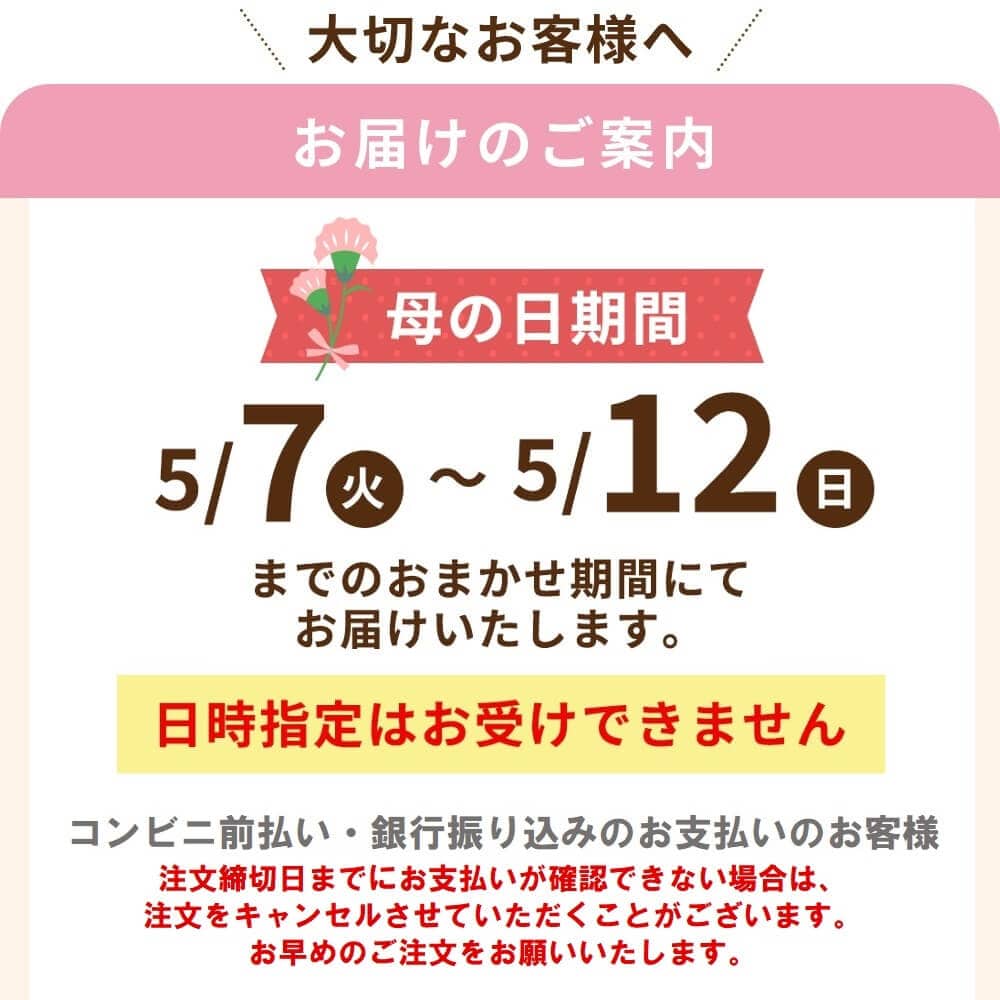 母の日 【200円クーポン】 母の日ギフト 送料無料 山形県産ハウス 