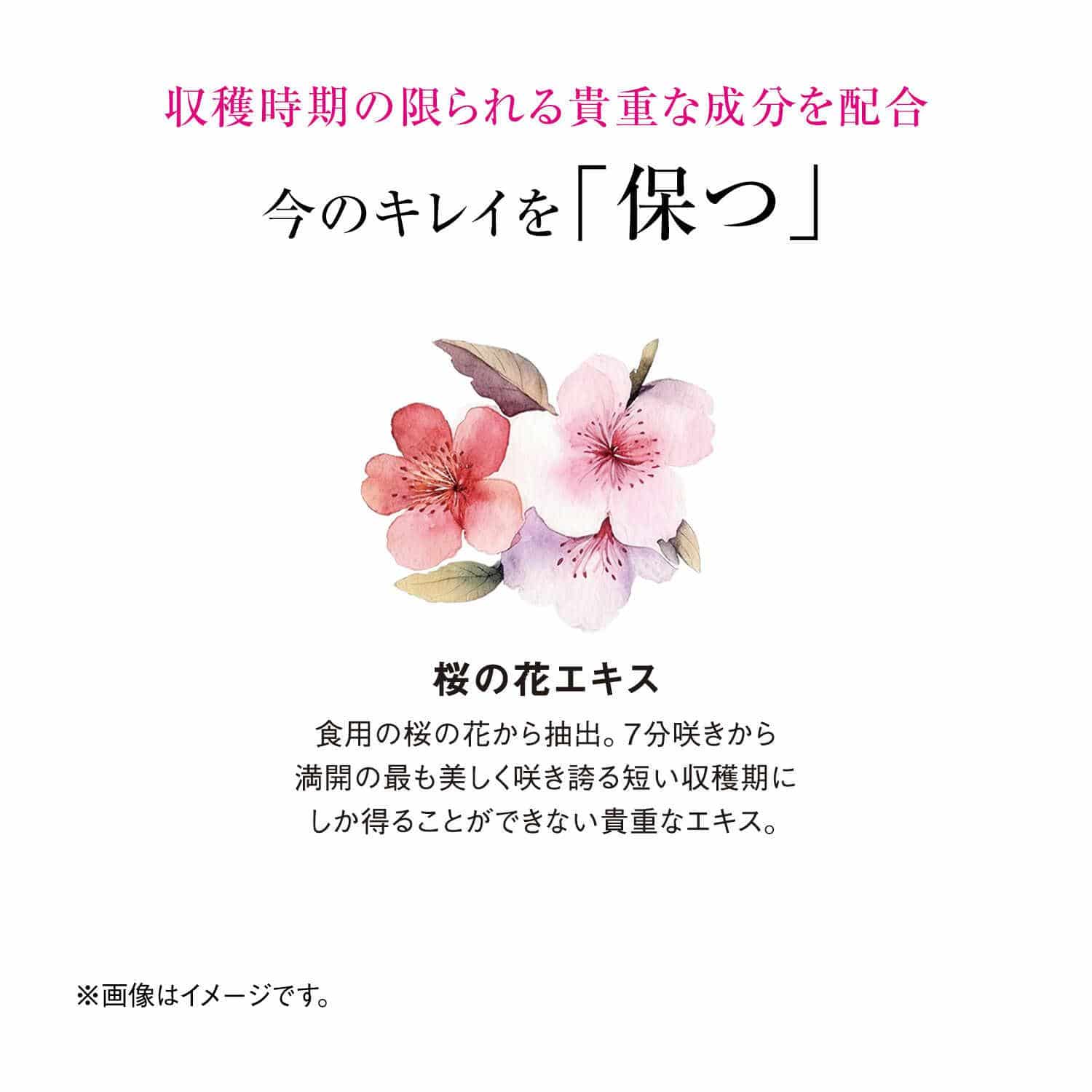 資生堂 ザ・コラーゲン リュクスリッチ ドリンク 50mL×10本入り: サン