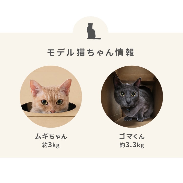 ねこねこトンネル BOX＋T字セット P-NTBT(BOX＋T字セット): アイリス