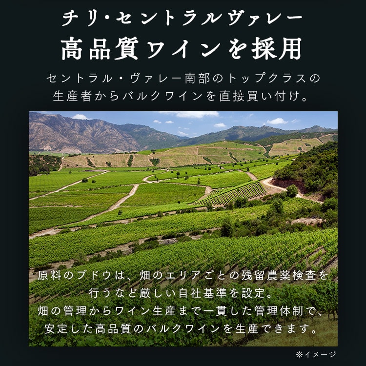 ワイン 赤ワイン 3L セット 4個セット チリ チリワイン ボックスワイン