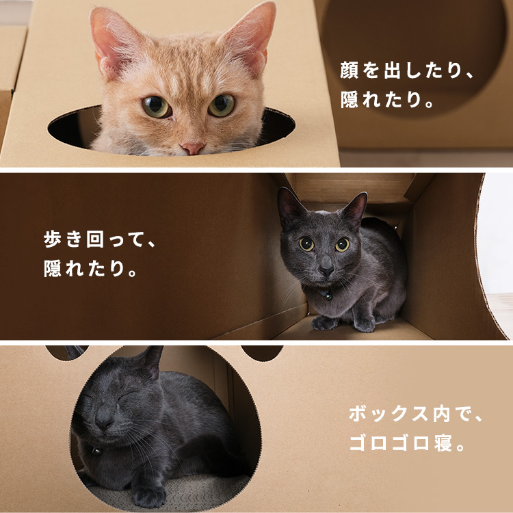 ねこねこトンネル BOX＋T字セット P-NTBT(BOX＋T字セット): アイリス