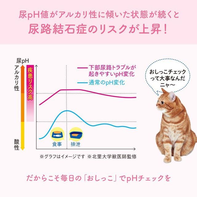 送料無料】【6個セット】キミおもい おしっこチェックできる 固まる紙