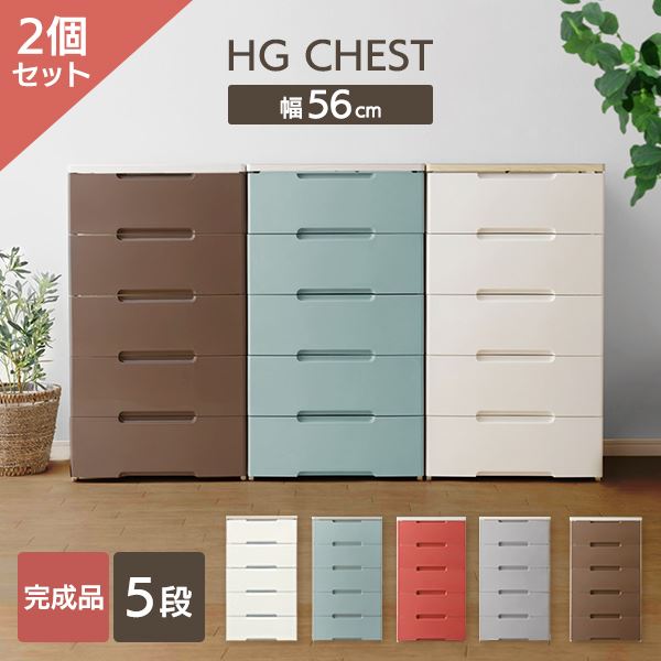 好評人気 チェスト （2 COLUMNS 5 DRAWERS CHEST） RAW サビ加工 棚