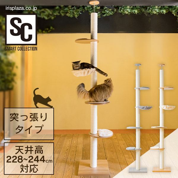 木登りキャットタワー KCCT‐244 ナチュラル（NA)【プラザセレクト