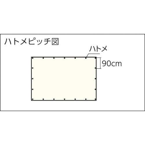 ＴＲＵＳＣＯ ブルーシートα２５００寸法７．２ｍ×７．２ｍ【BSA257272