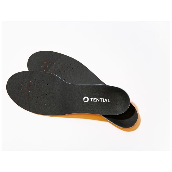 INSOLE（Lサイズ）26.5~27.5cm(100000000000027): ビックカメラ｜JRE MALL