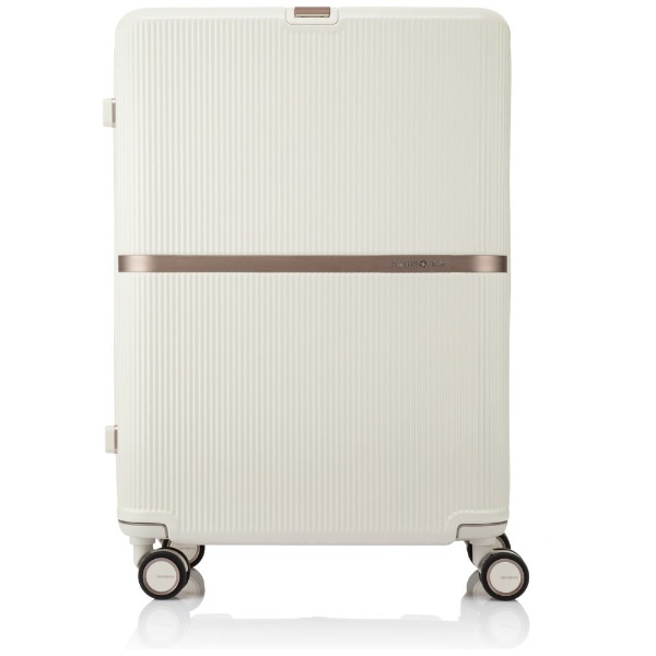 専用】Samsonite MINTER スーツケース 75-92L-