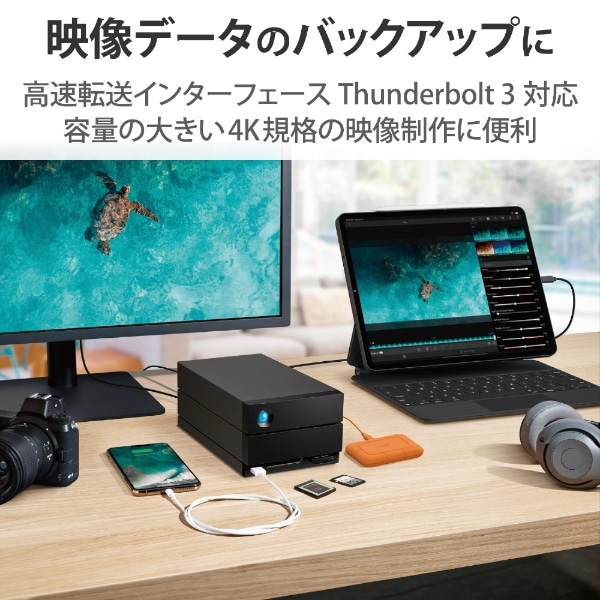 STLG40000400 外付けHDD Thunderbolt 3接続 (Thunderbolt 3 / USB-A