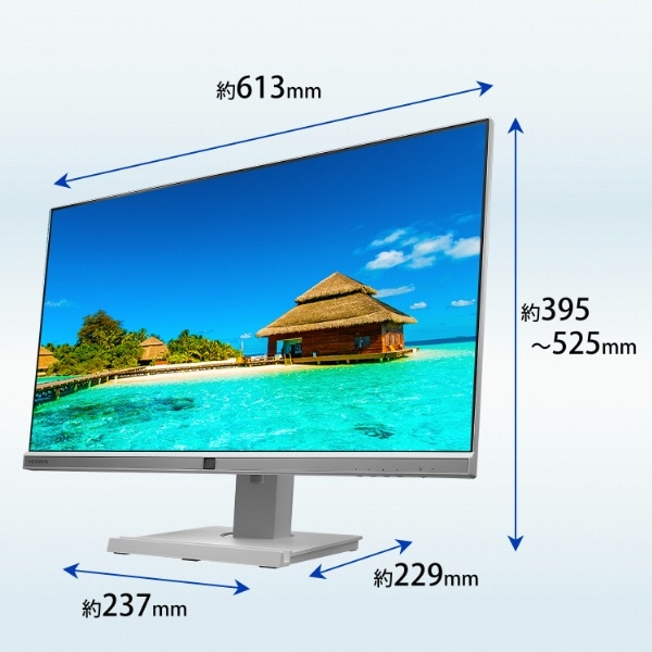 USB-C接続 PCモニター フリースタイルスタンド＆USB-C「BizCrysta