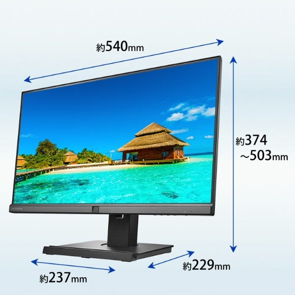 USB-C接続 PCモニター フリースタイルスタンド＆USB-C「BizCrysta