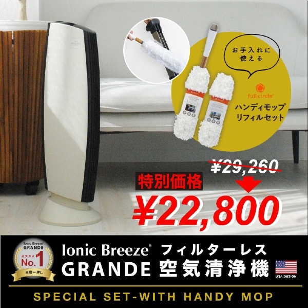 IB GRANDE ホワイトグレー×ハンディモップセット イオニックブリーズ