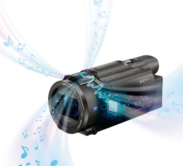 SONY FDR-AX60 - ビデオカメラ