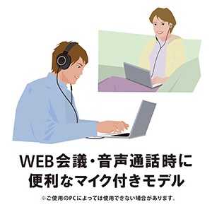 ビックカメラグループオリジナル】【ハイレゾ音源対応】カナル型