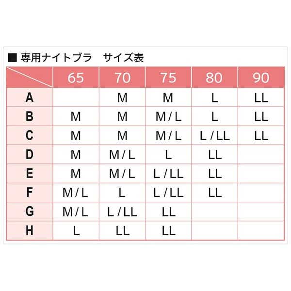 わたしの温度 専用ナイトブラ（L） 杢グレー(グレー): ビックカメラ