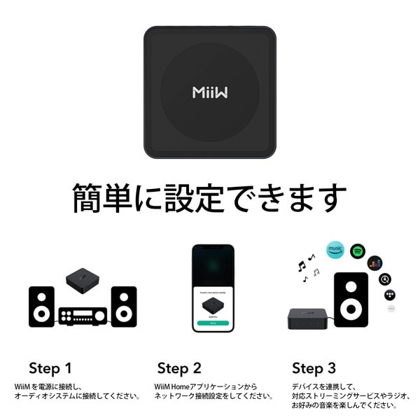 マルチロールオーディオストリーマー wiimpro [ハイレゾ対応](wiimpro