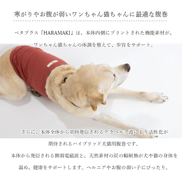 コロバニィ ペタプラス 犬猫用腹巻き HARAMAKI グレー S 本体胴囲