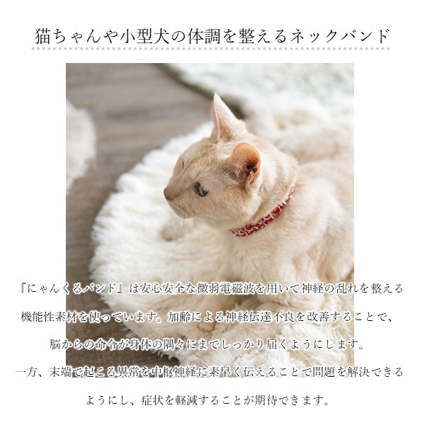 コロバニィ ペタプラス にゃんくるバンド（ちりめん） 猫・小型犬用 ...