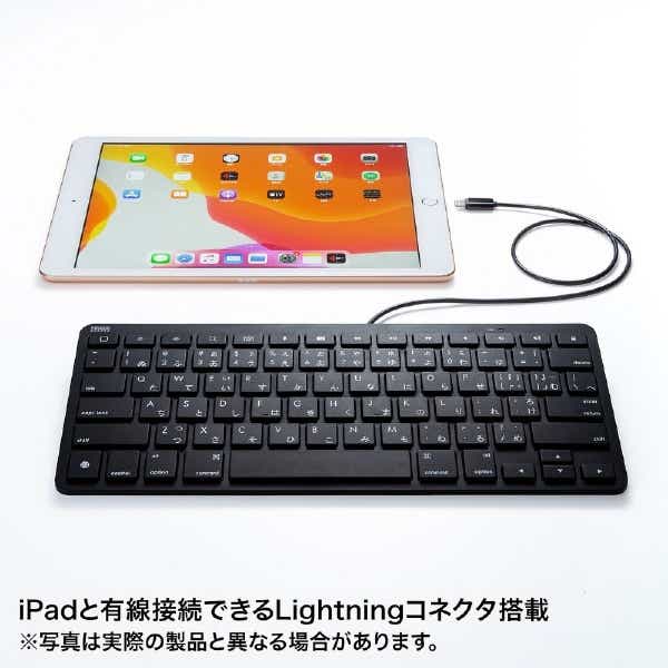 SKB-IP3BK キーボード iPad用(英語配列) ブラック [Lightning /有線