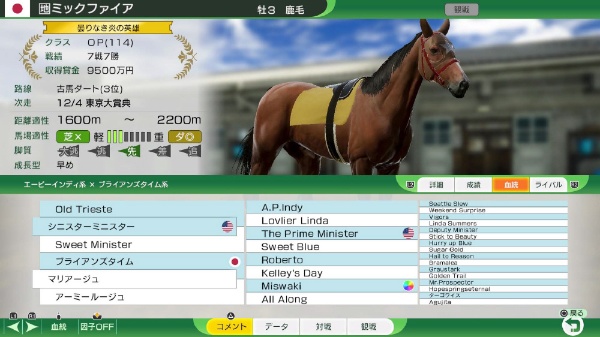 Winning Post 10 2024 プレミア厶ボックス【PS5】 【代金引換配送不可