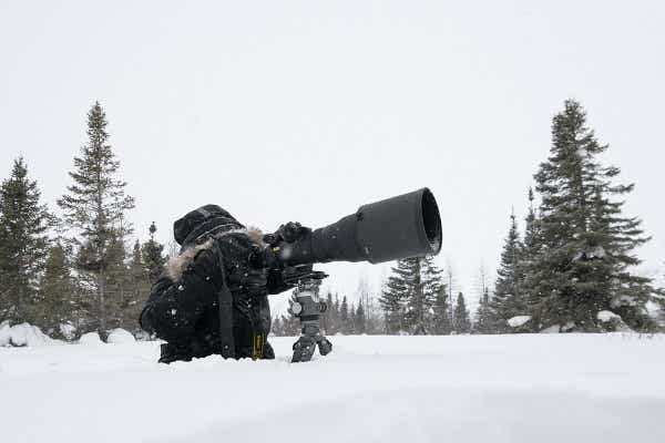 センターボール雲台4型LR グレー GH4383LR [自由雲台(ボール雲台