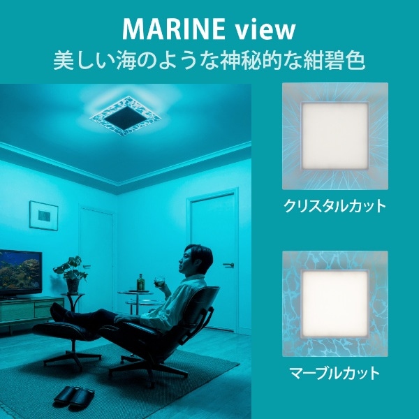 NVC Lighting Japan HLDC08V002BSG LEDシーリング MARINE view