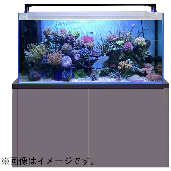 日本特注ゼンスイ マルチカラーLED 900 水槽装飾品