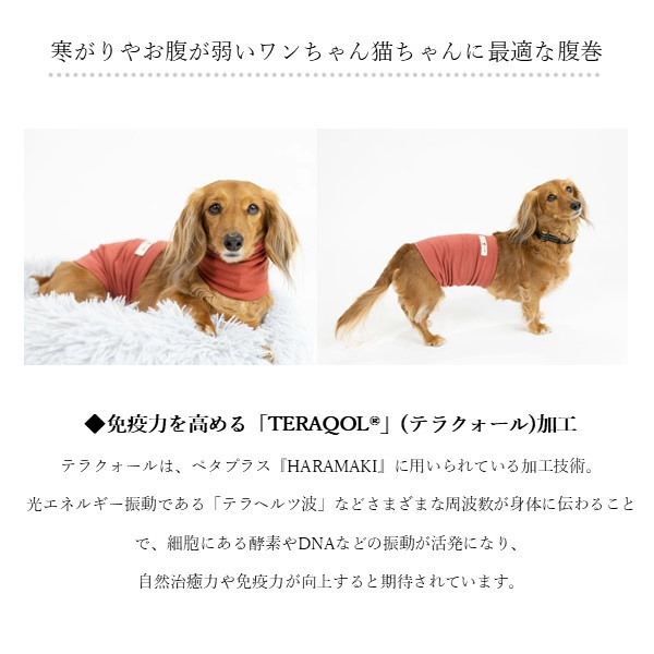 コロバニィ ペタプラス 犬猫用腹巻き HARAMAKI グレー S 本体胴囲