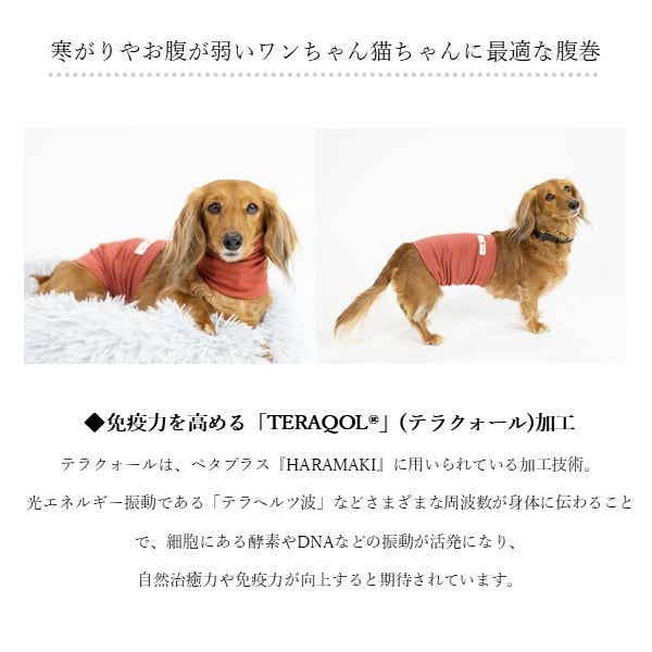 コロバニィ ペタプラス 犬猫用腹巻き HARAMAKI レッド 4L 本体胴囲