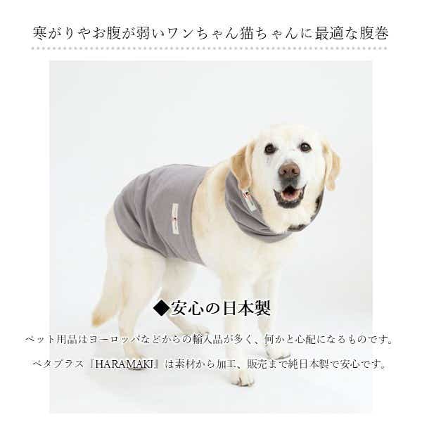 コロバニィ ペタプラス 犬猫用腹巻き HARAMAKI レッド M 本体胴囲