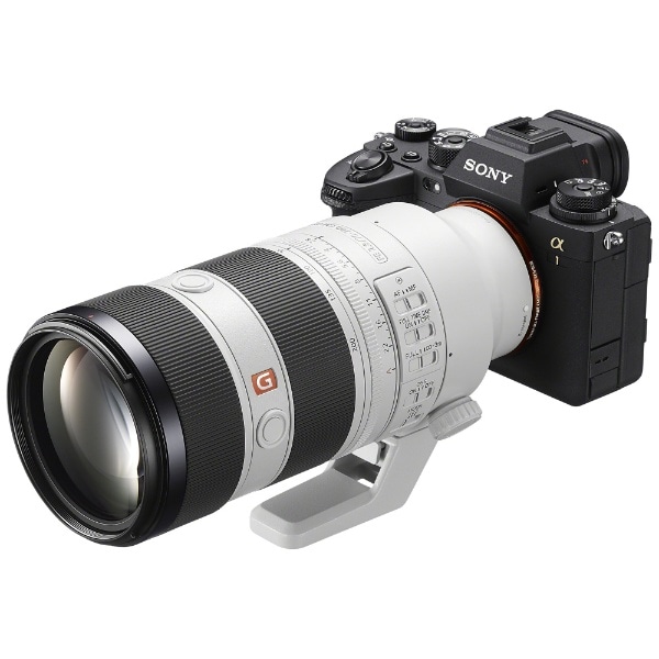 カメラレンズ FE 70-200mm F2.8 GM OSS II G Master SEL70200GM2 